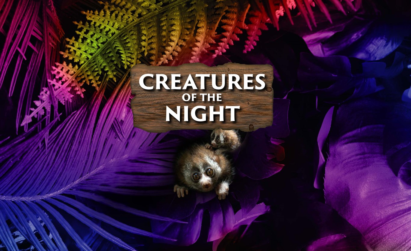 creatures of the night