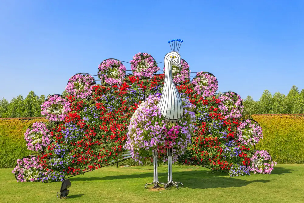 Dubai Miracle garden