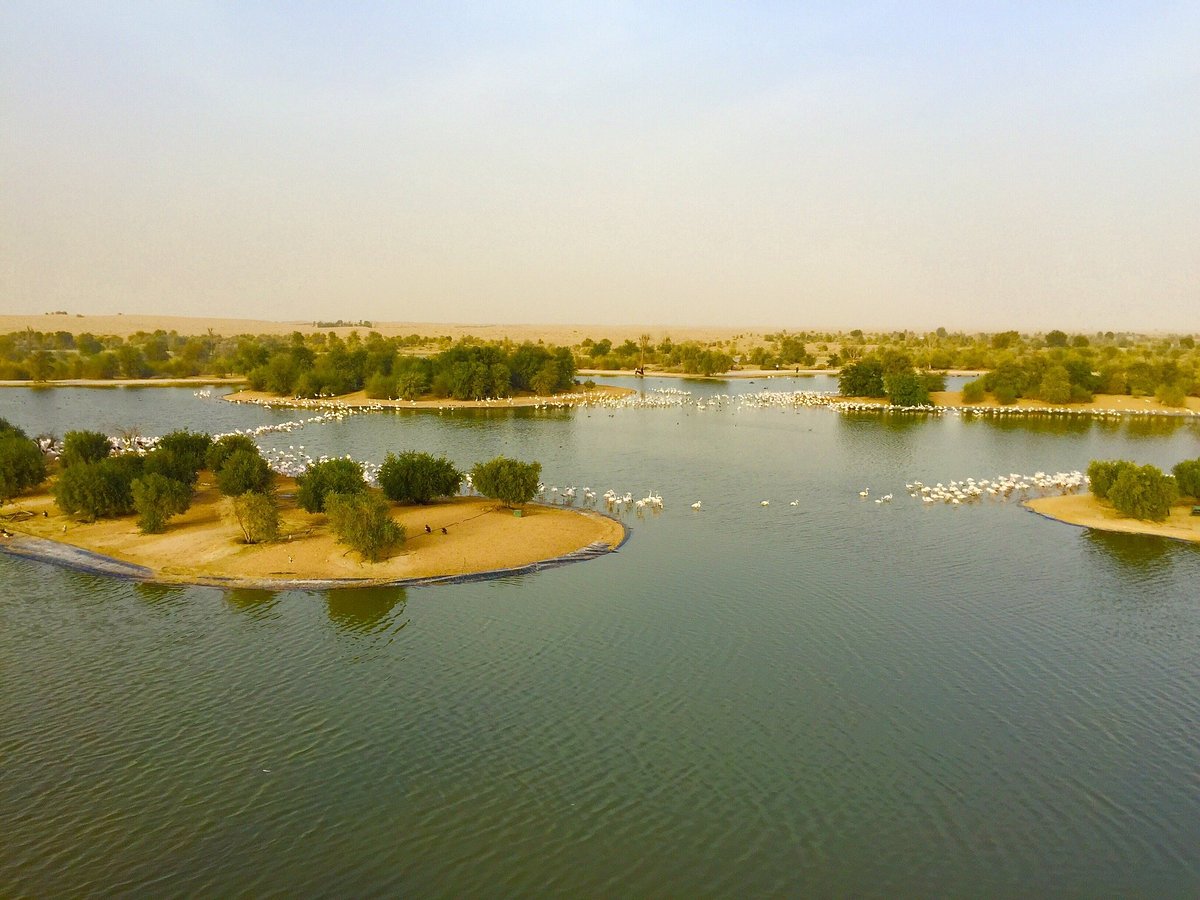 Al Qudra Lakes