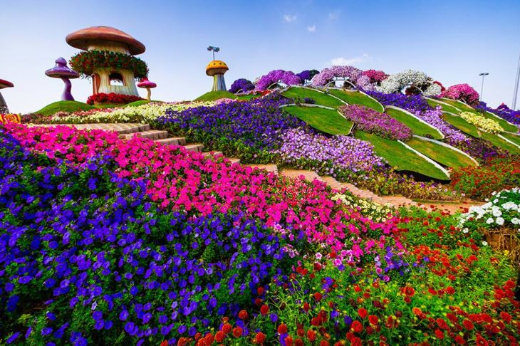 gardens of dubai