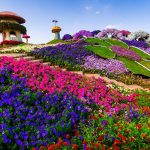 gardens of dubai